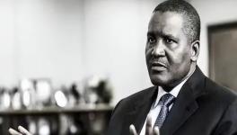 因涉嫌污染环境，这家水泥厂被关闭