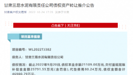 公告！多家水泥厂被卖！