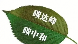 缝出匠心！这家环保企业脱颖而出！市场占有率名列前茅！