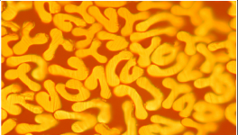 对比明显，这个材料完胜！最长可用8年，节约电费百万！