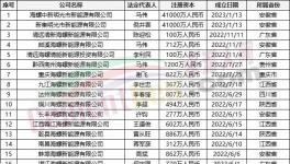 疯狂！“上下”通吃！海螺连续成立50多家公司！