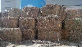 创收40万/天！替代燃料降本火了！