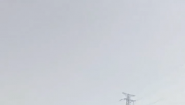 太惨！210元/吨低价水泥“倾销”！停产来“救市”！