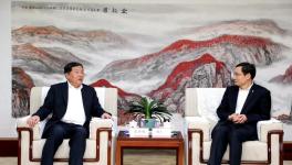 太惨了！大跌235元/吨！水泥产量创10年最大跌幅！