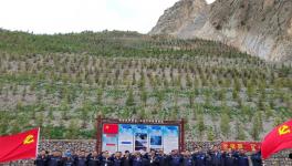 昌都高争开展“党旗飘，矿山绿”主题活动