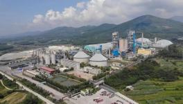 这家水泥企业今年前4个月，水泥产量同比增长30%!