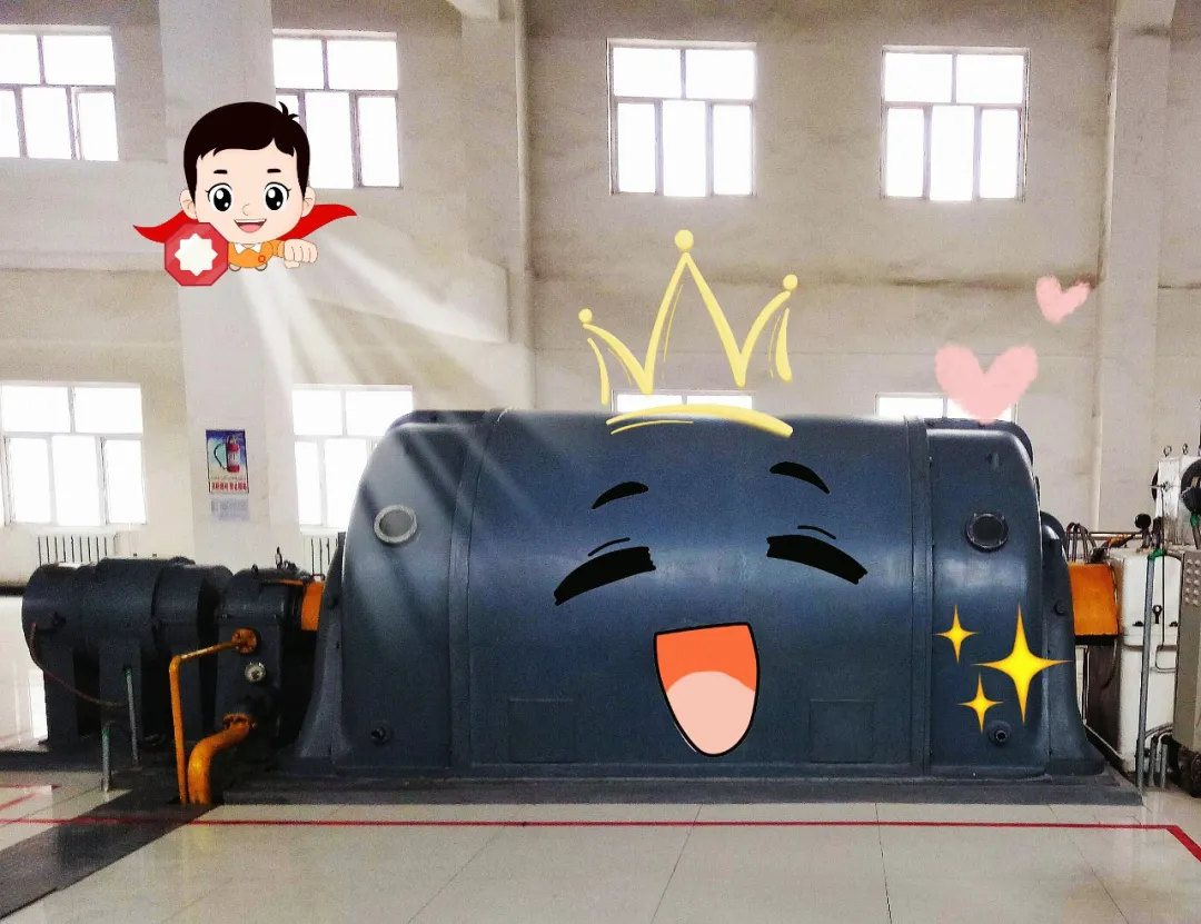 速来围观！！新疆水泥家的“显眼包”来了