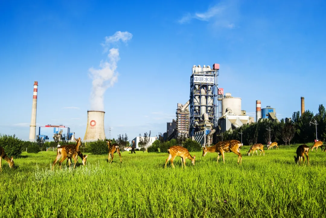 中联人，出发！去我们的“阿勒泰”→