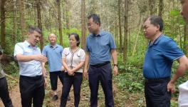 海螺水泥迁建项目有序推进中！