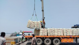 3000吨进口水泥抵达，这一地区水泥降价！