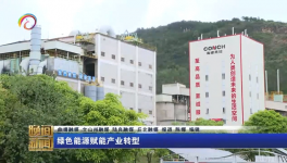 海螺水泥两家工厂同一天都上电视啦！