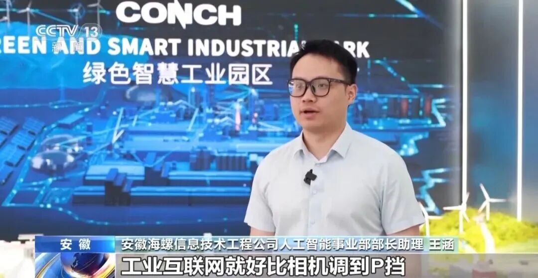 央视报道海螺，称其为“老树发新枝”！