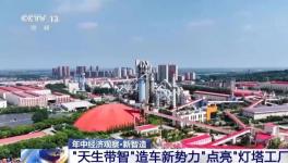央视报道海螺，称其为“老树发新枝”！